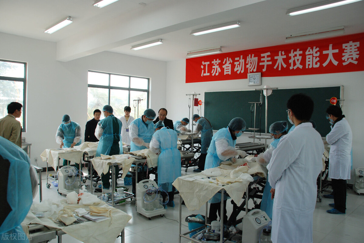 好的专科学校（5所高职院校）