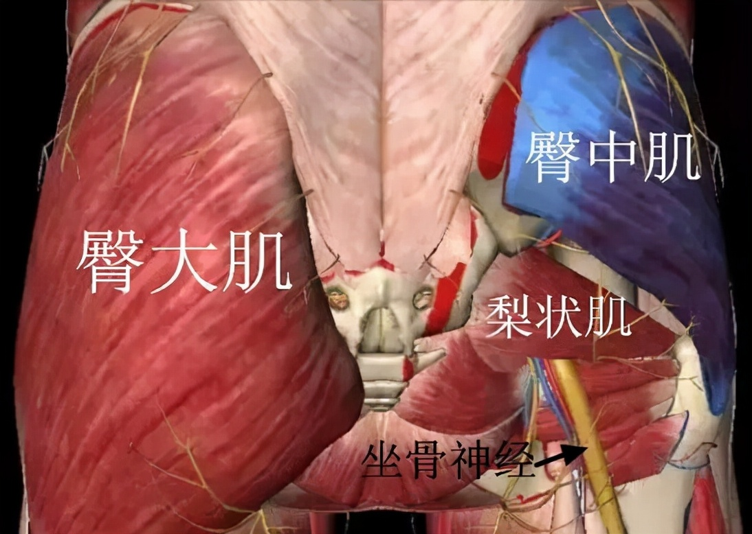 腰腿疼总不好？可能病根不在腰椎，而在骨盆！3种方法在家检测