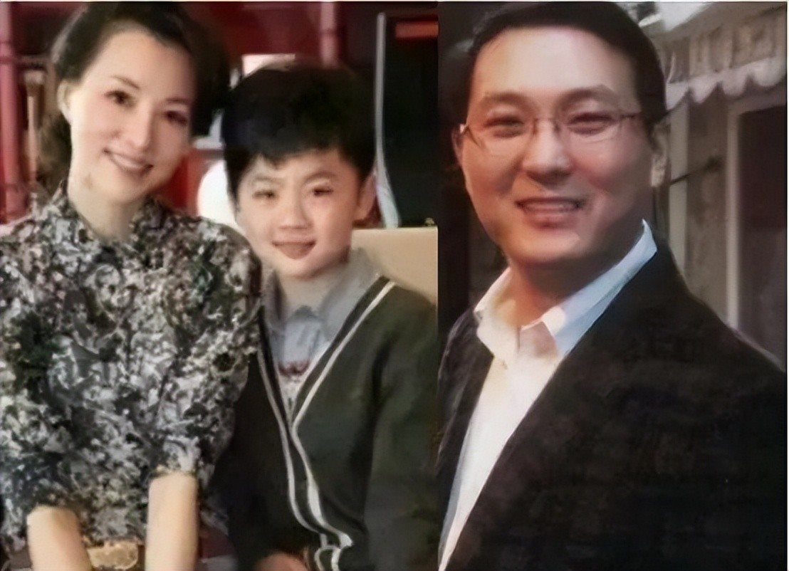 董卿老公失联半年，公司被退市，百亿富豪梦碎上海滩