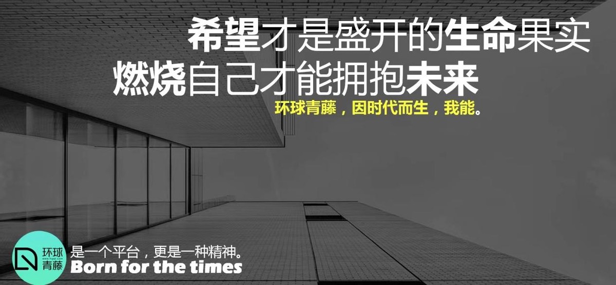 城镇化浪潮中“新生代”青年力量的背后：时代呼唤一种青藤精神