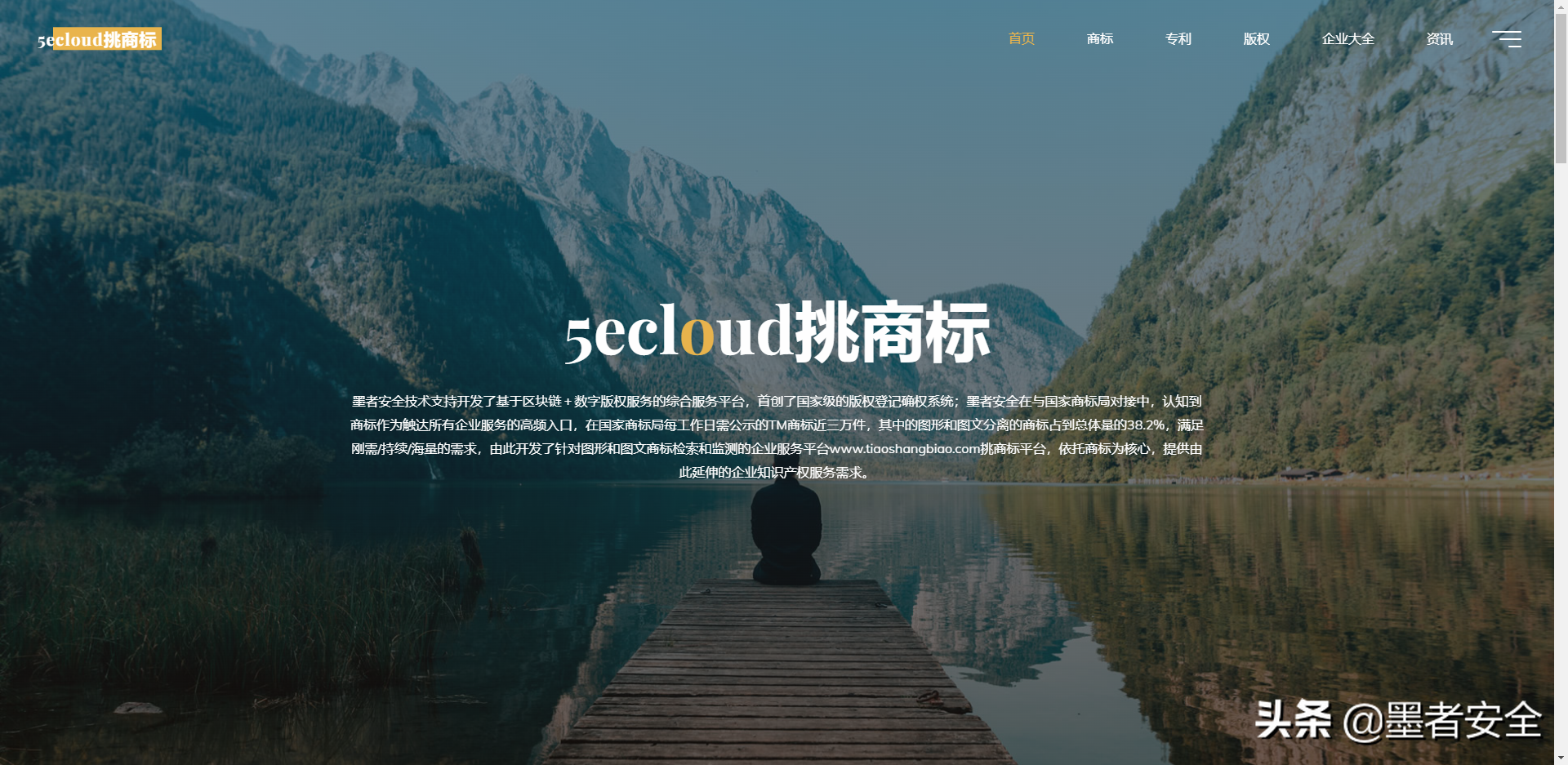 国外公司注册信息查询（美国商标注册费用查询网址）