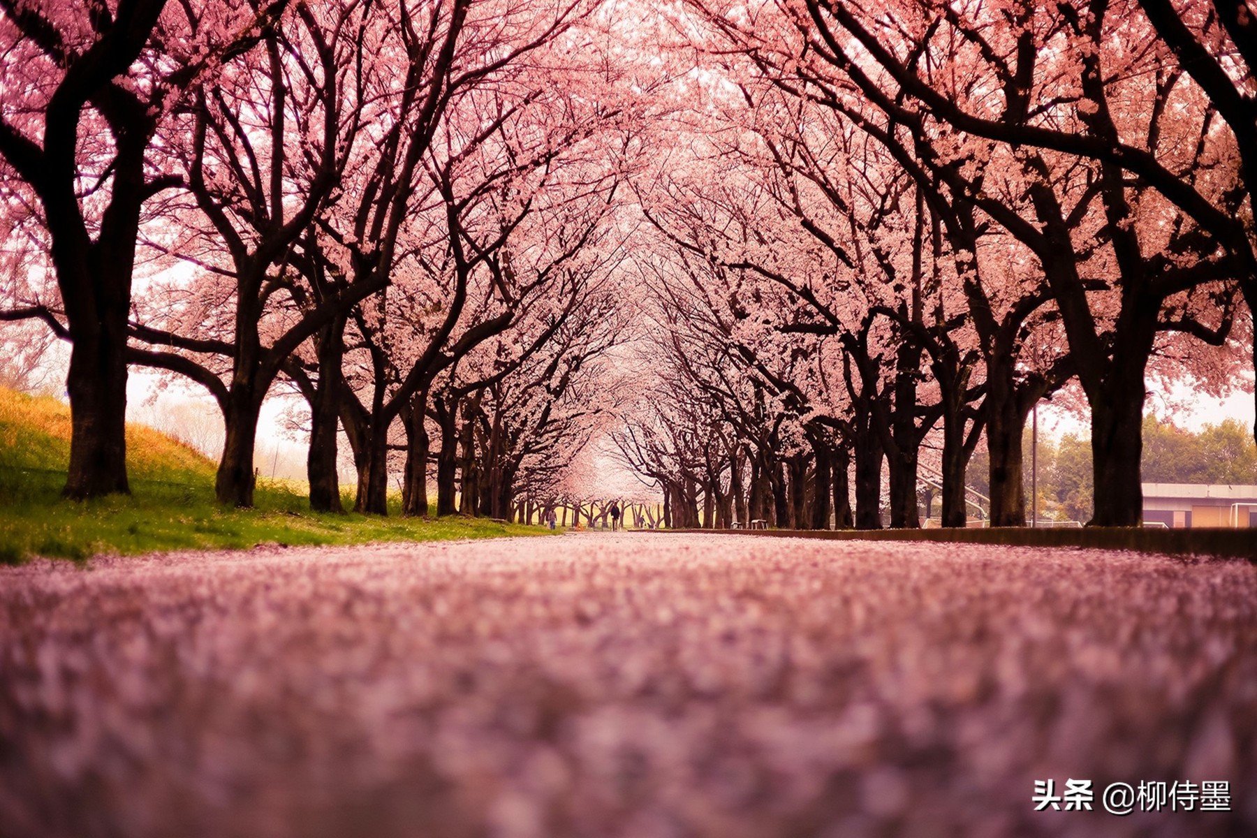 拍美风景很简单,6句摄影口诀用起来,好方法拍出好照片