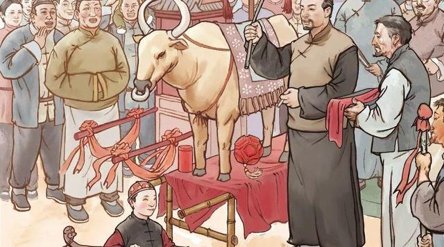 俗语：“好男有毛不鞭春，好女有膘不看灯”，实为老祖宗经验之谈
