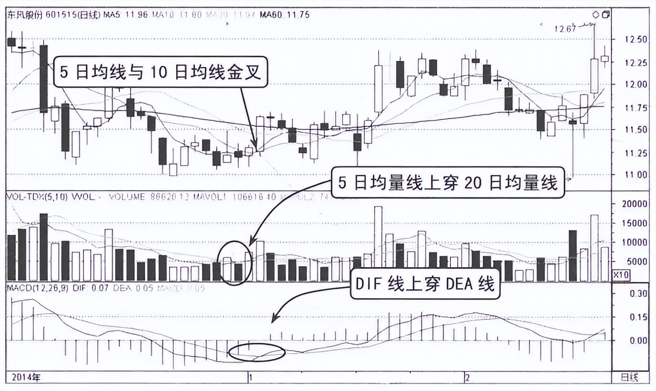 寫給正在虧損的散戶:但凡“成交量”出現以下信號,大概率直線拉升