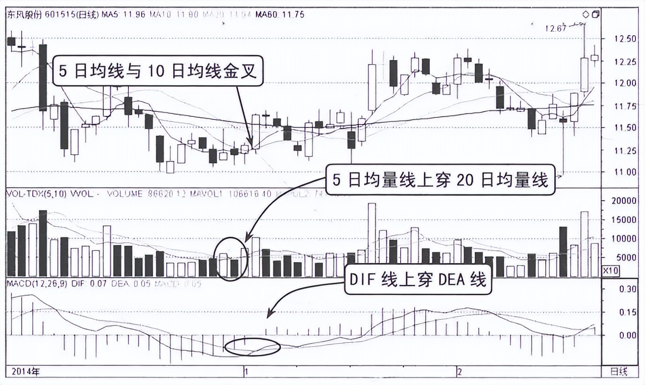 写给正在亏损的散户:但凡“成交量”出现以下信号,大概率直线拉升