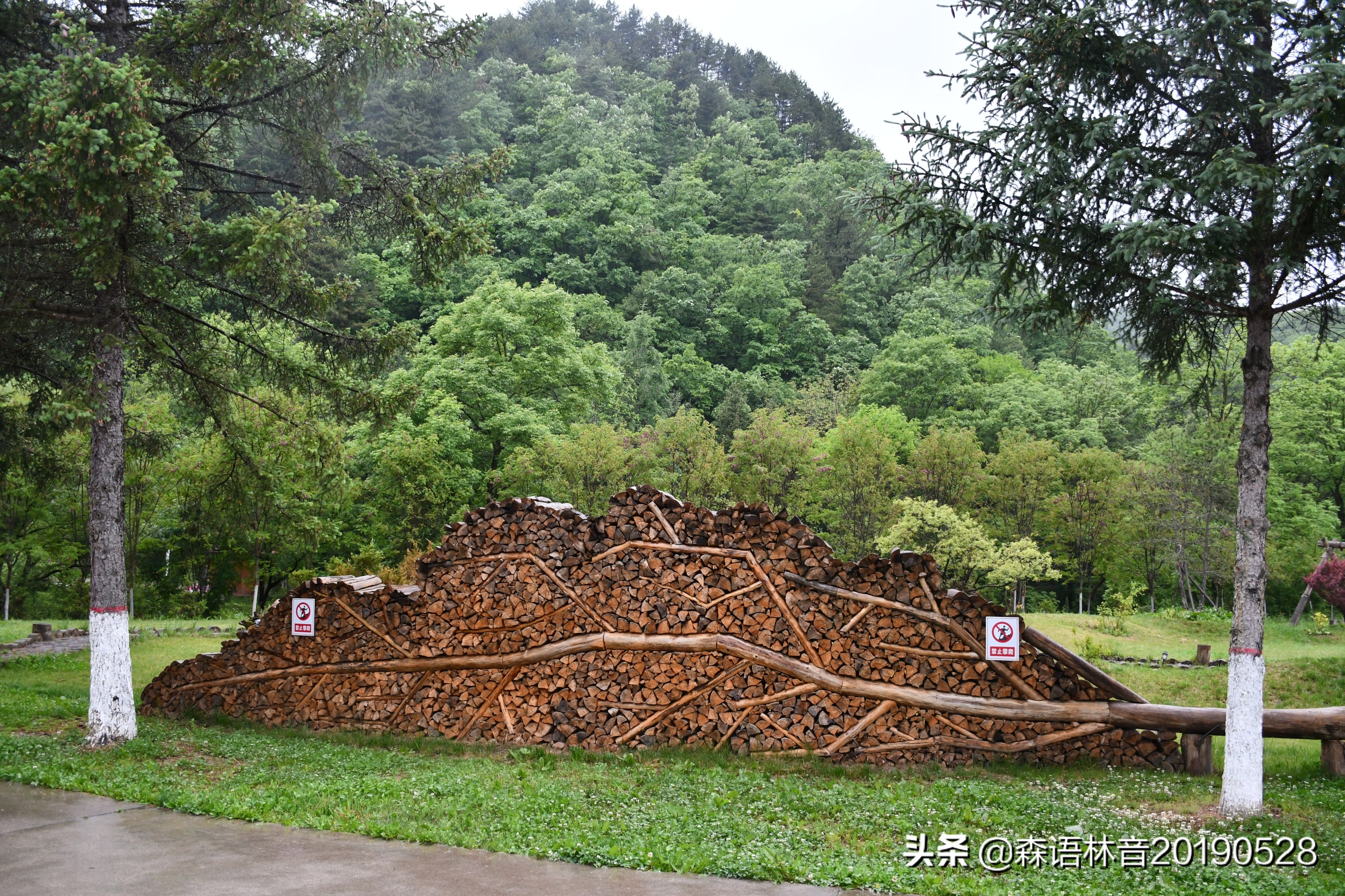 烟雨通天河 丹青水墨画——送你一个夏天“趣”通天河的理由