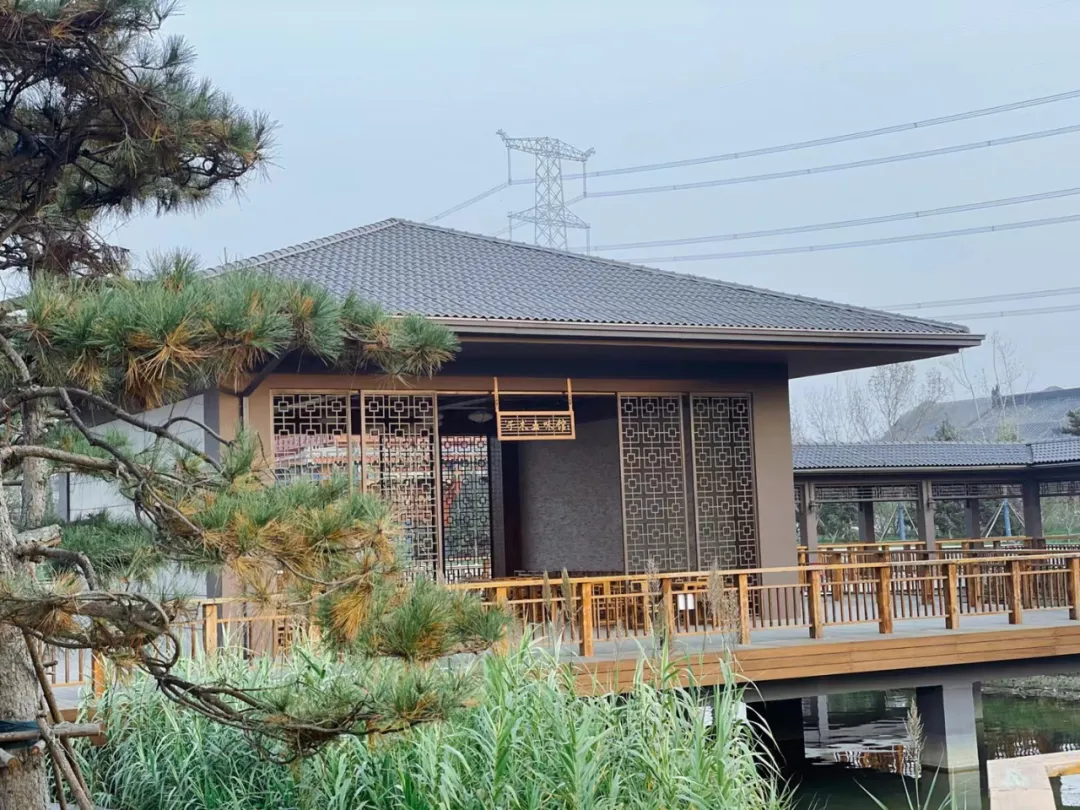 赓续中医药文化，造福咱百姓健康 在提升再进步再出发