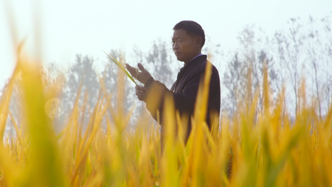 重构宿迁：一个三四线城市的现代化缩影