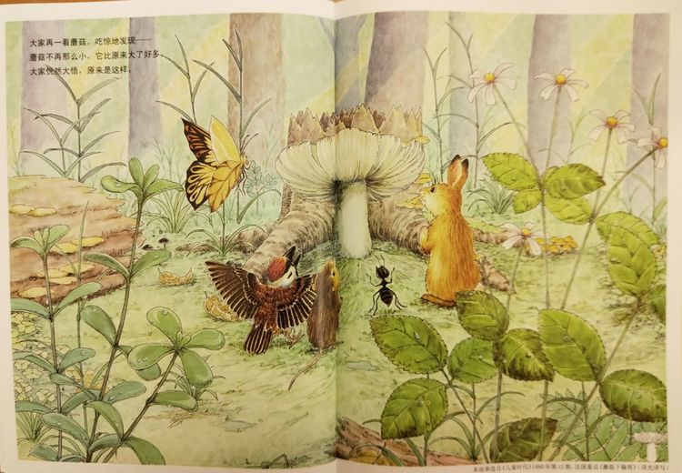 蘑菇的绘本故事告诉我们什么道理