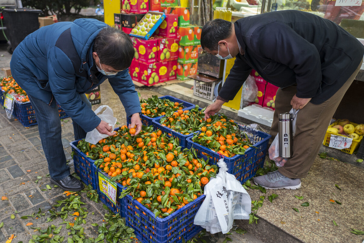 节后果价跌势微妙改变，车厘子或将反弹？广西产地水果新动态