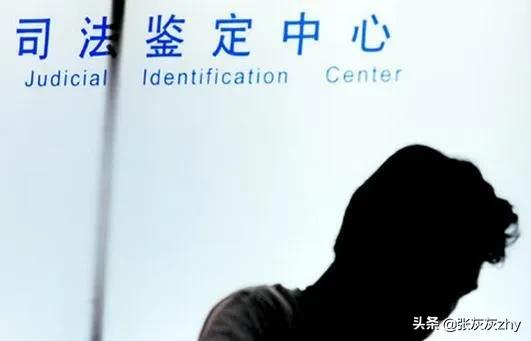 未对鉴定结论所依据的证据材料进行质证，属于违反法定程序的情形