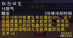 魔兽怀旧服 至尊职业技能详细介绍-战士