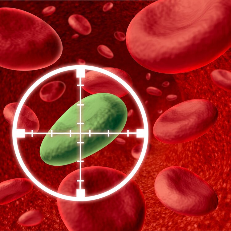 权威警告：人类血液中首次发现微塑料，或已渗透到全身器官