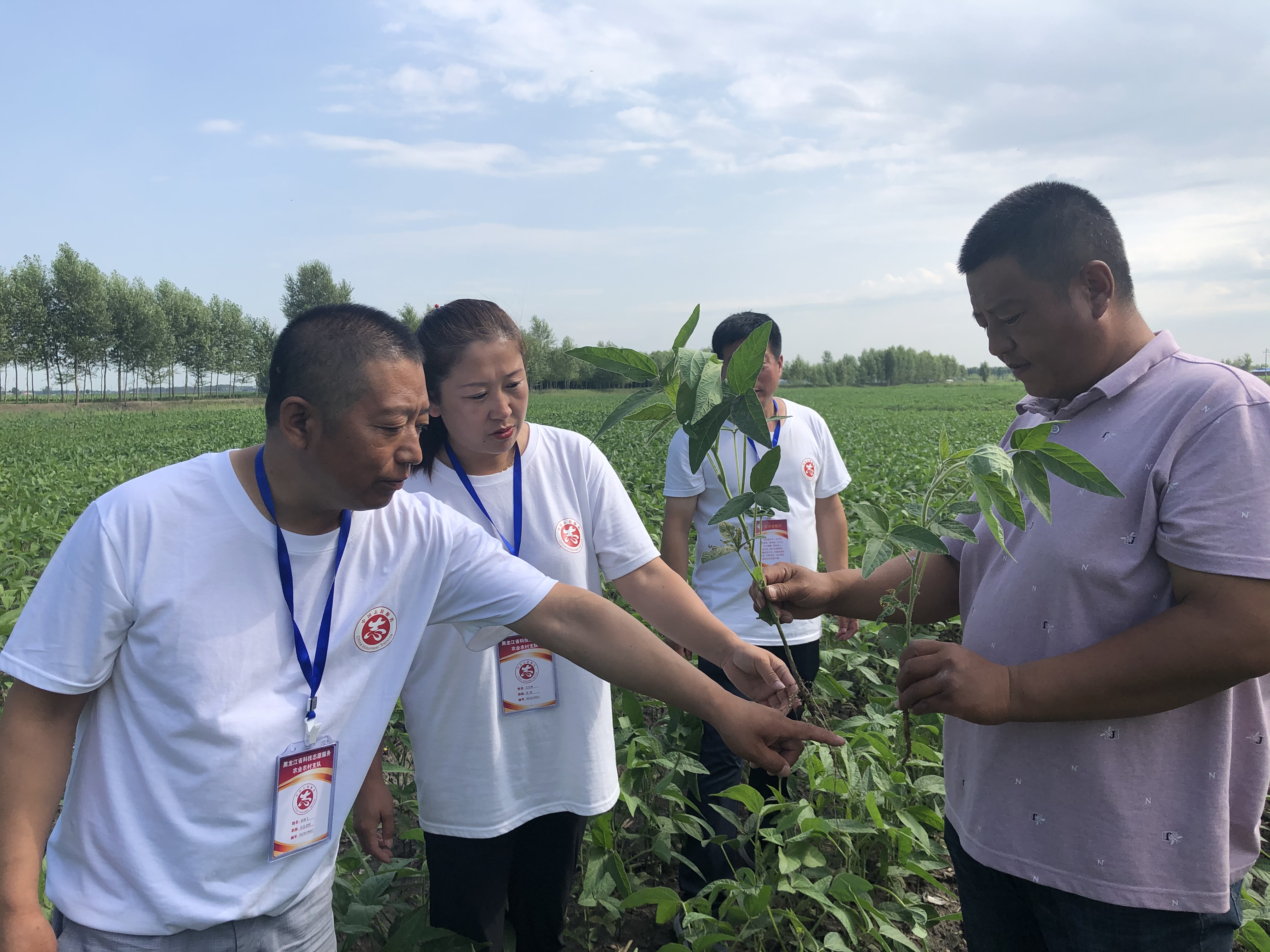 科技兴农 助力乡村振兴