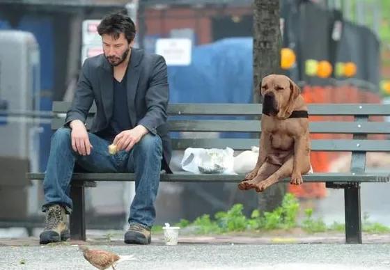 孤苦无依，善良温柔？知道辱华的那一刻，他再也不是我们喜欢的人