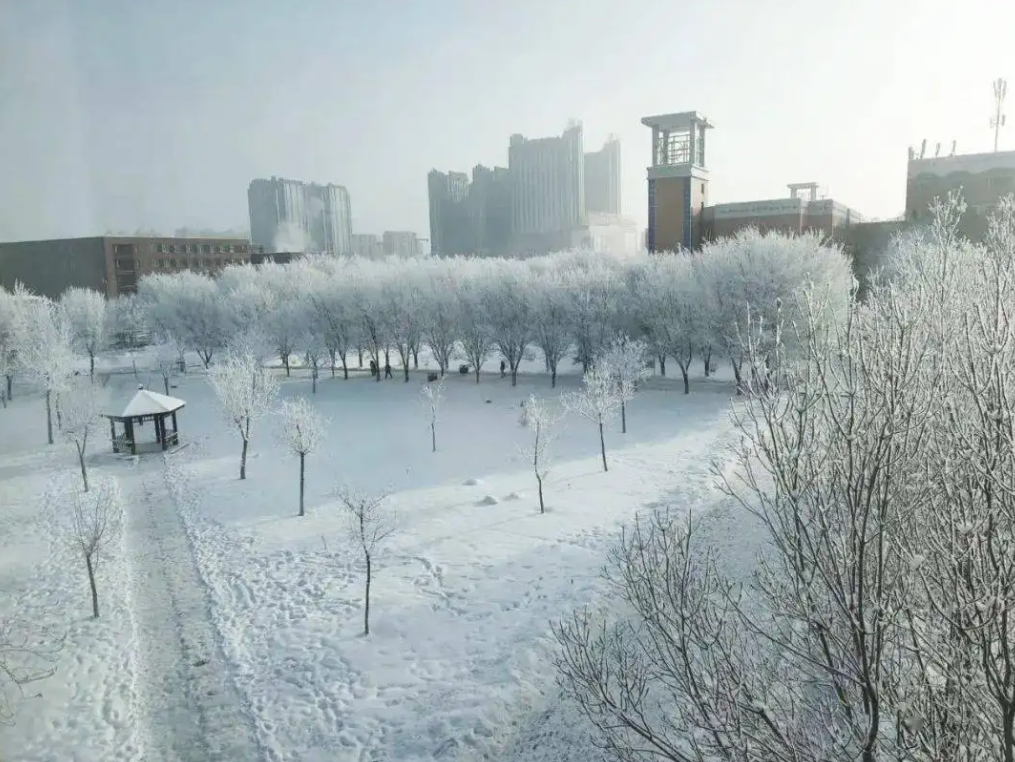 考研只要过国家线，大概率都能录取的学校，有的甚至不需要复试