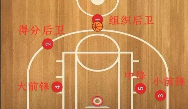 篮球比赛场上有多少职位(篮球1-5号位站位图)