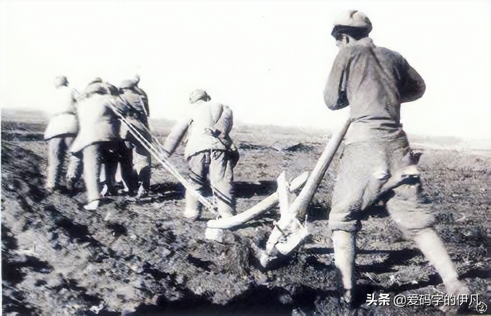 中国最伟大的部队，人类史上的奇迹——新疆生产建设兵团