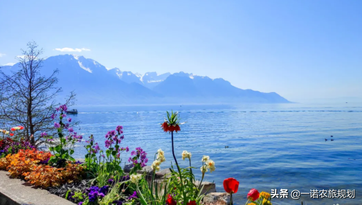 实施乡村建设行动须把握好三点要求