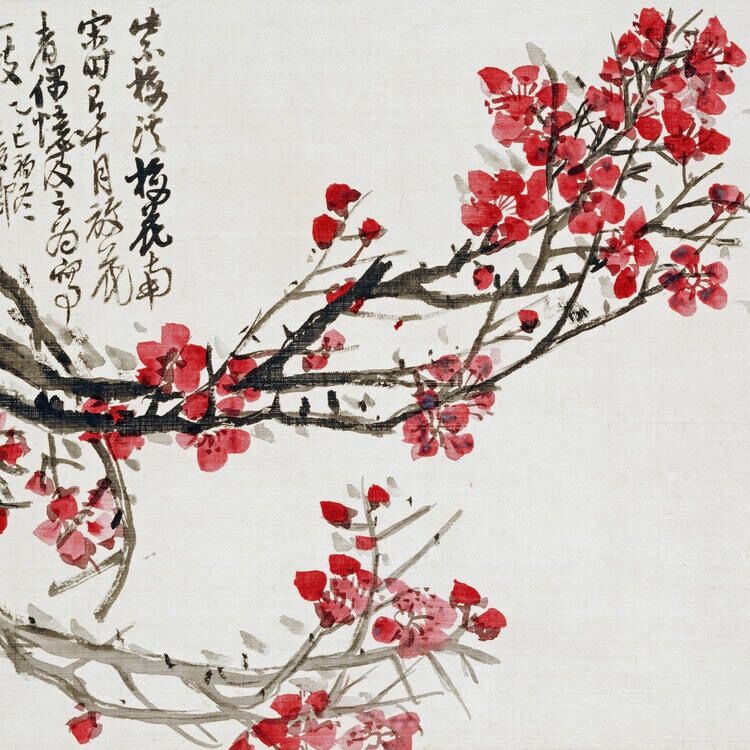 冰雪林中著此身，不同桃李混芳尘——梅花风骨，一枝独开天下春