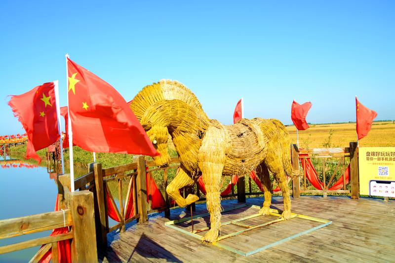 去一个叫：辽宁盘锦的地方