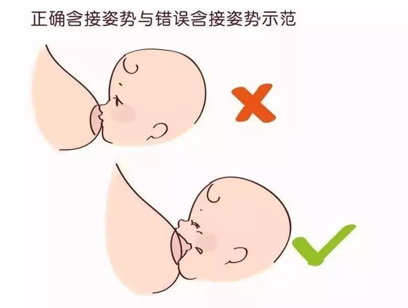 哺乳哺乳(月子里喂奶姿势不正确) - 燕来学堂