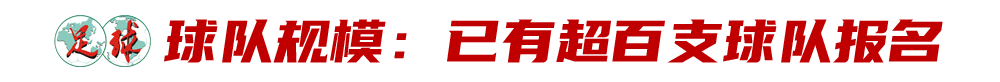 中国城市足球联赛拟于5月份开启(中国城市足球联赛登场了！“体总杯”全国城市足球联赛拟5月开打)