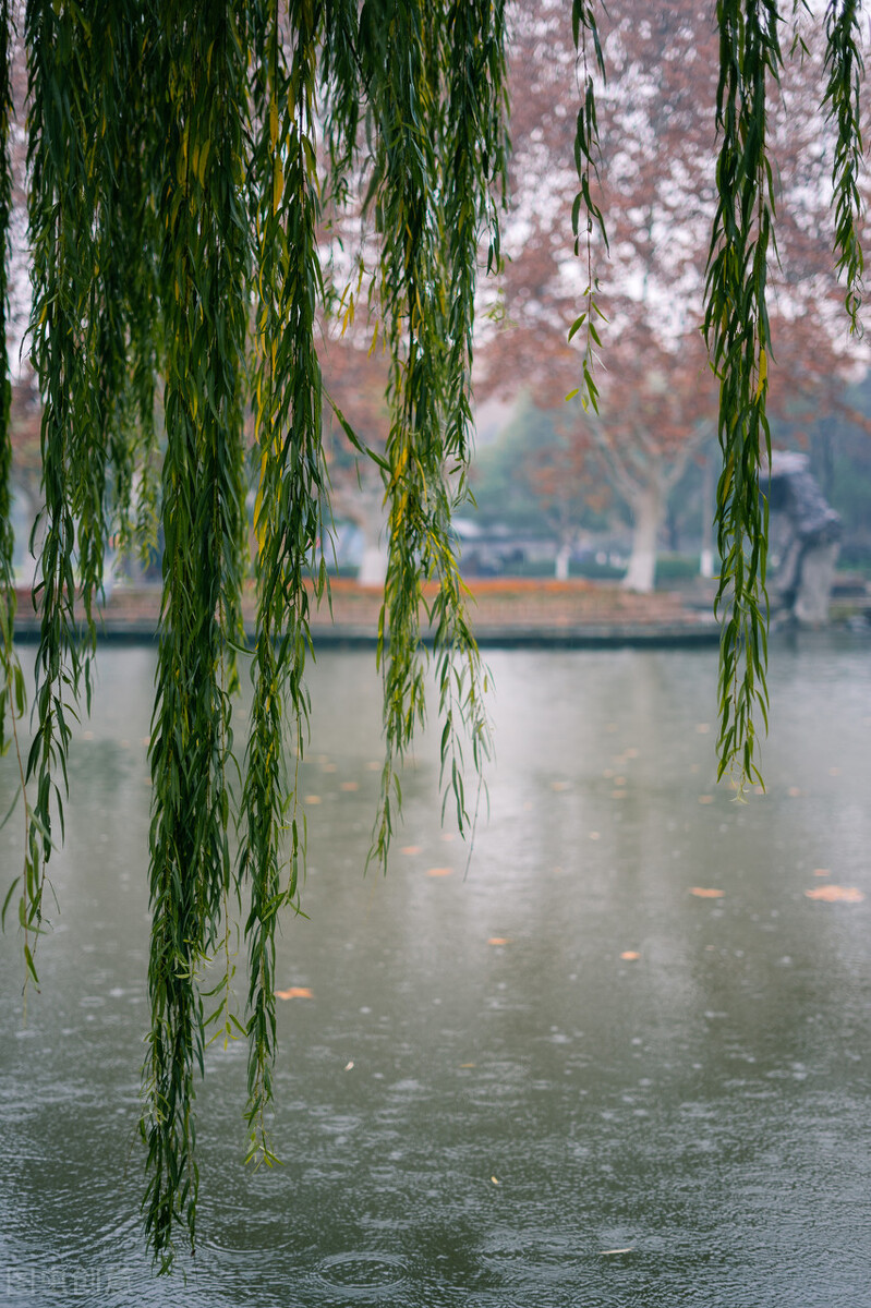 追随春天的脚步，描绘心中的风景。写景作文这样写