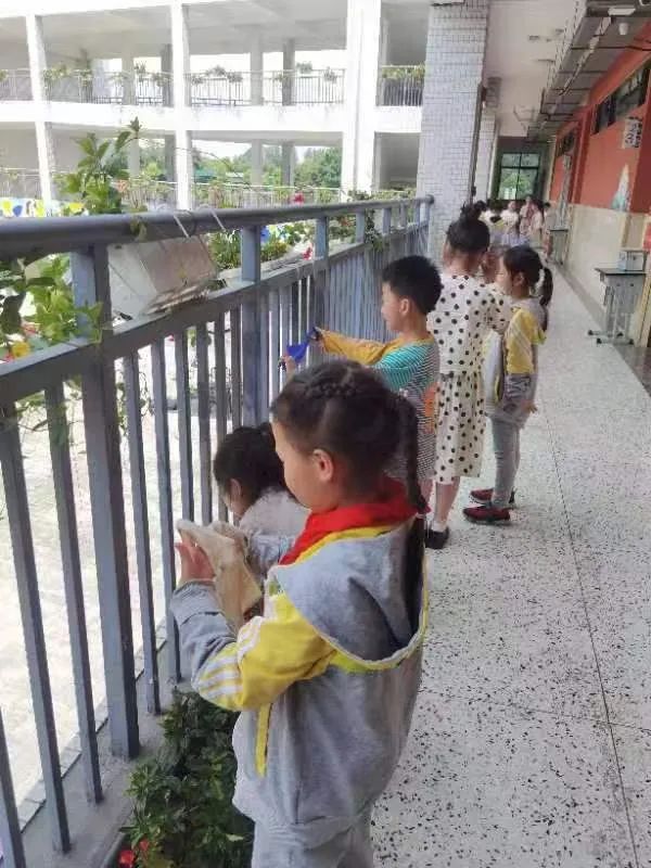 快乐劳动 幸福童年｜记双流区实验小学外国语学校劳动系列课程