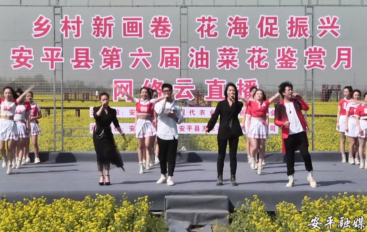 中国安平第六届网络油菜花鉴赏月活动隆重开幕