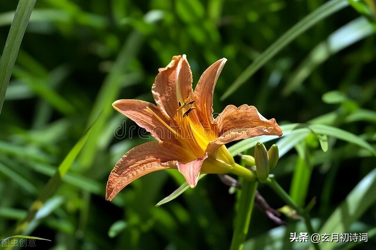 有一种爱不能等待，三首慈母吟：人子当报慈母恩