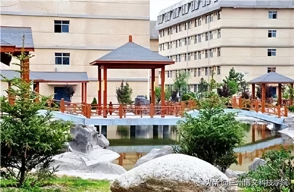 兰州博文科技学院2022年招生简章