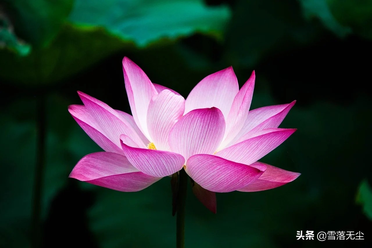 两个人在一起，唯有如此去爱，才能天长地久