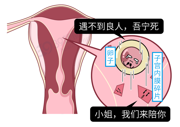 卫生巾需要多久换一次？经期能不能同房？这些生理知识要知道