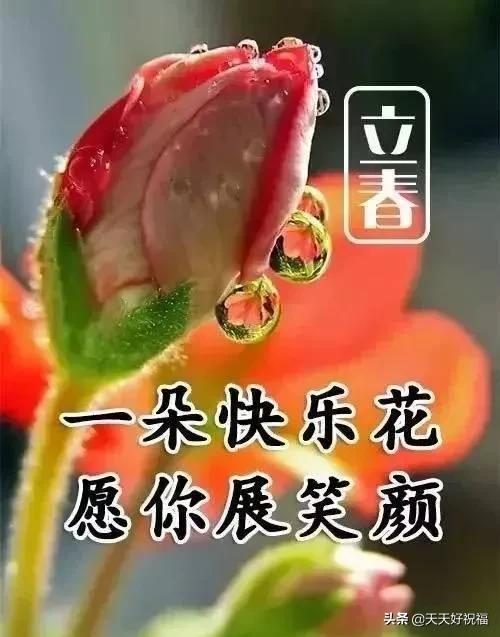 立春，祝福问候早送上，致我的亲人朋友