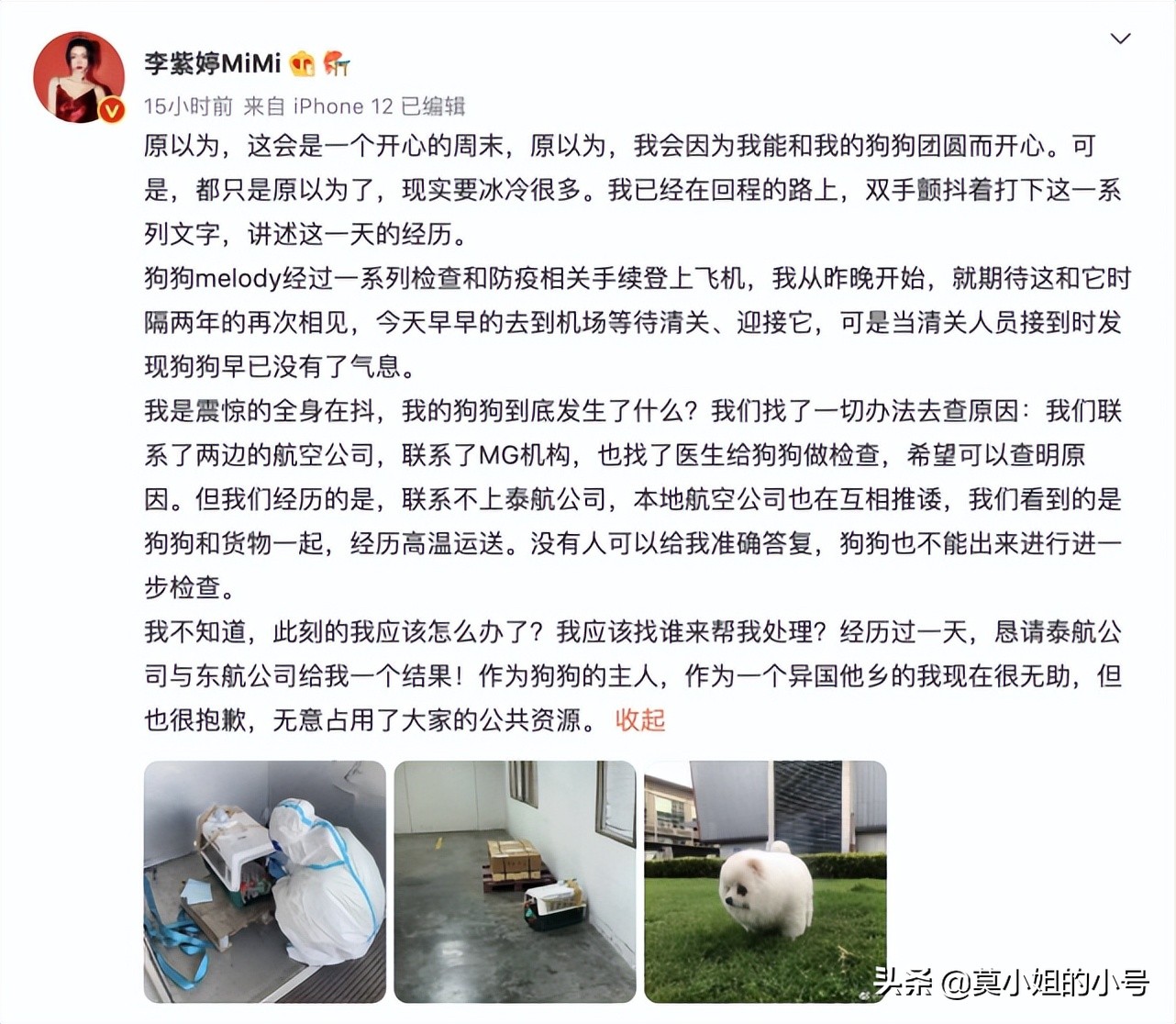 周末爆出6个瓜，被曝患暗病、校园欺凌、意外死亡，个个都是大瓜