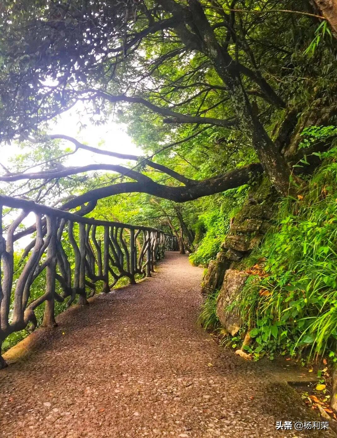 七律5首 张家界