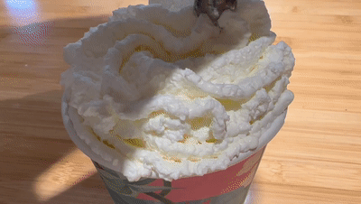 一杯治愈系奶茶，一撩饮者众心