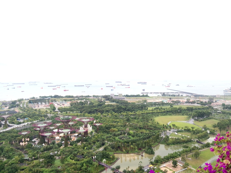 新加坡国立大学研究生回国就业情况