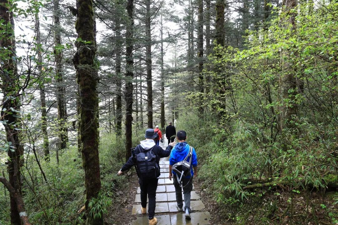 感受峨眉魅力 川渝媒体峨眉山采风行圆满结束