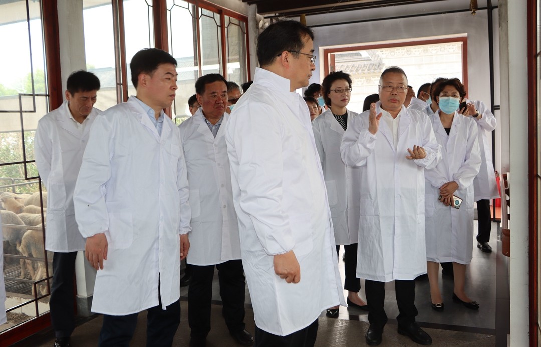 苏州市委一行考察江苏乾宝牧业