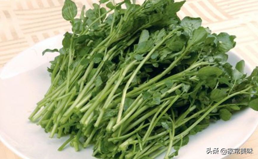 农村餐桌最常见的10种野菜，你吃过几种？见到它们你敢说都认识？