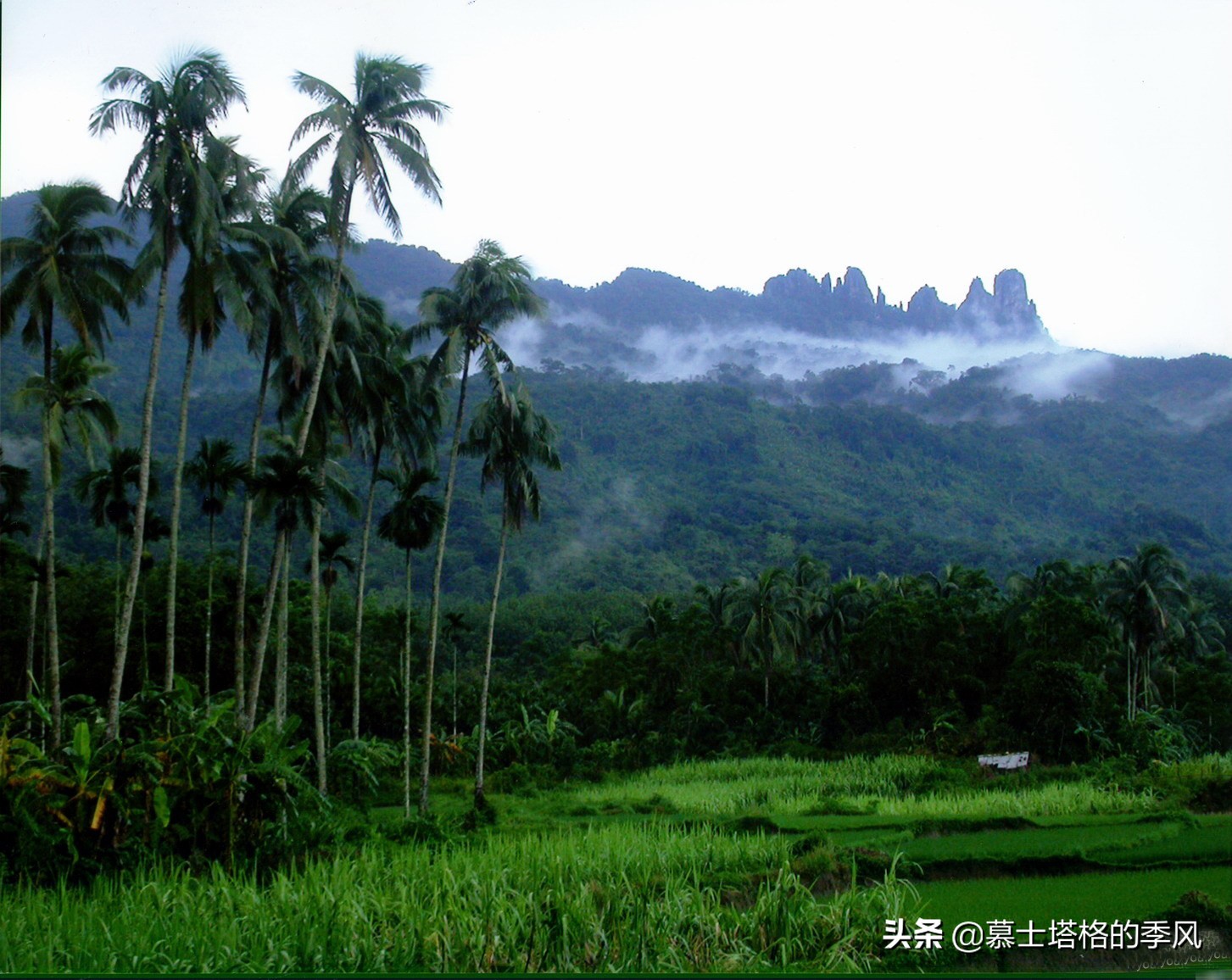 海南中线5座城市哪个更适合旅居养老？