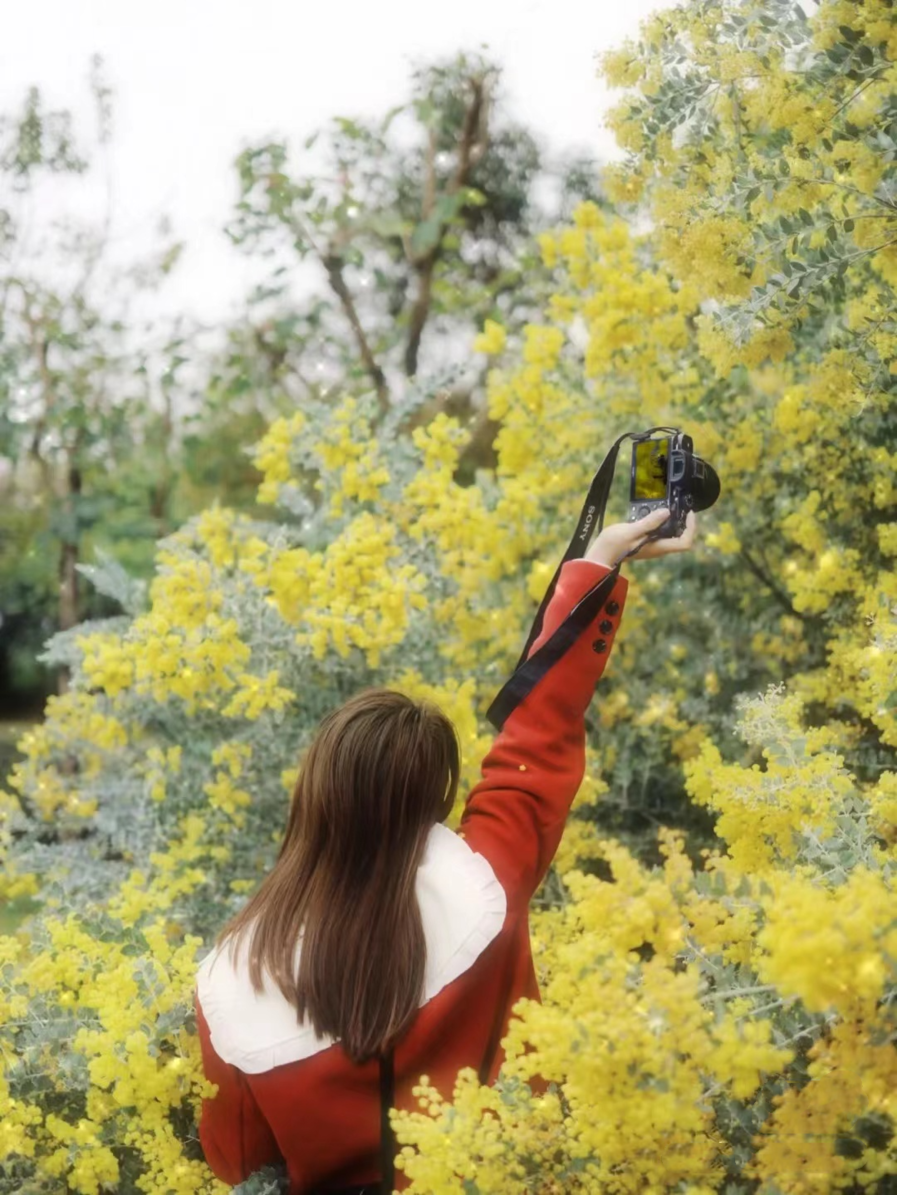 幸福像花儿一样！福州美成童话！