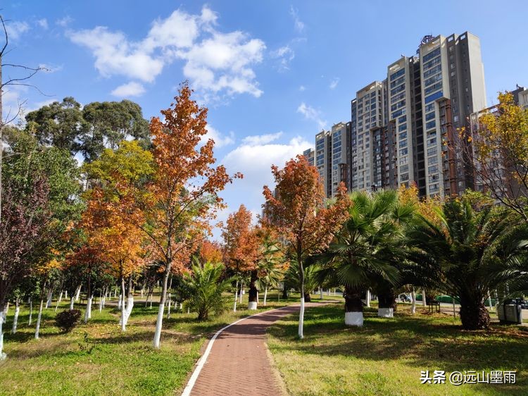 河水清澈、水草飘摇，河岸景致、色彩缤纷，初冬的昆明盘龙江，美