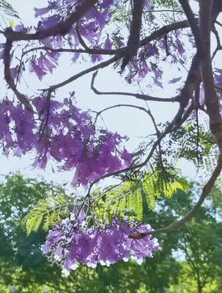 在滇池边，吹夏天的风