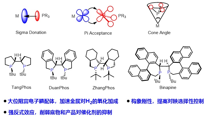南方科技大学张绪穆教授近年来工作概览