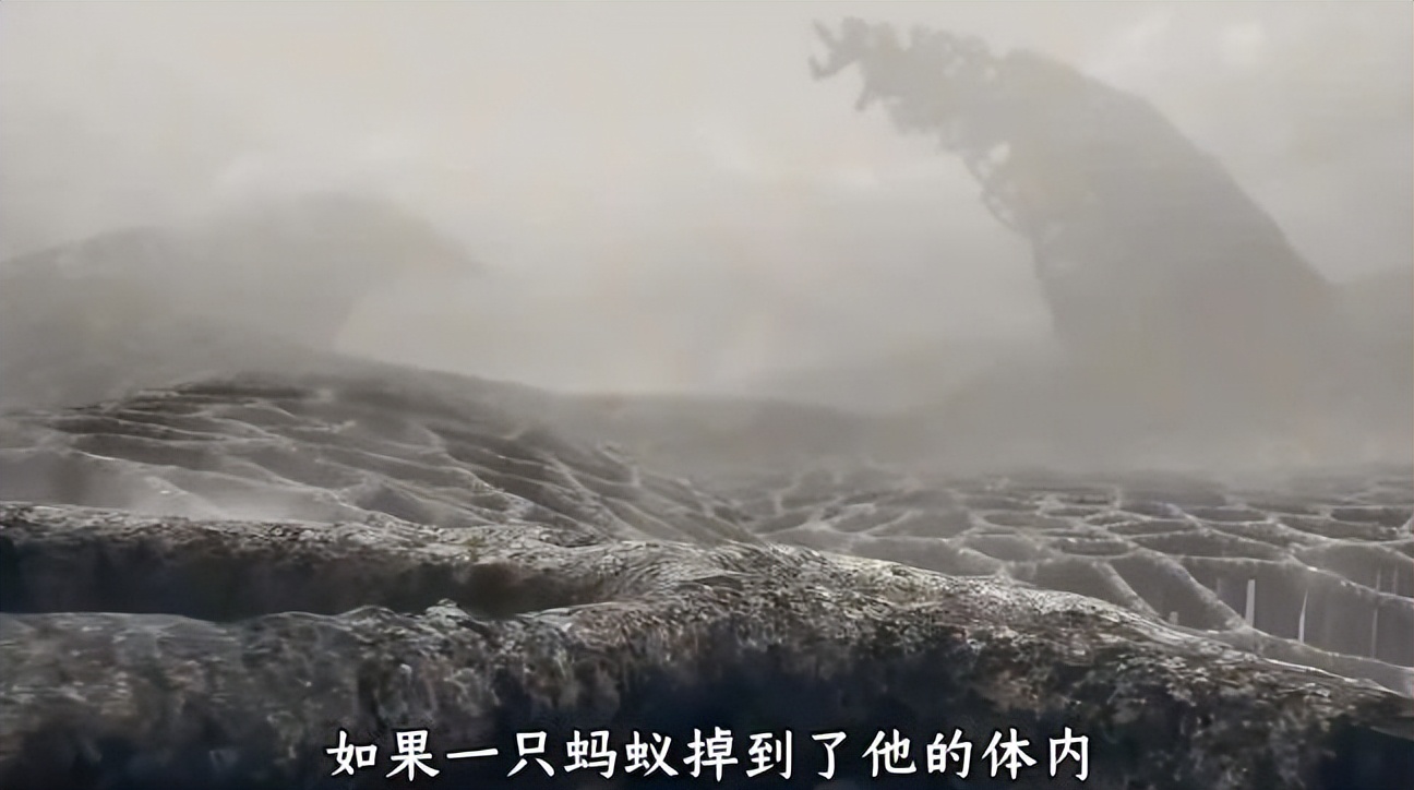 深圳十方融海科技有限公司十方教育影视后期优秀作品分享