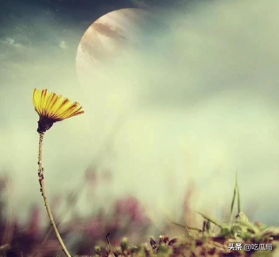 7月离世的8位名人！有人中暑身亡，有人心梗有人乳癌，年纪最小40