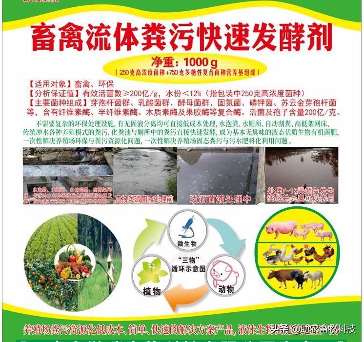 养殖场废水两种低成本快速处理技术，短时间解决环保问题